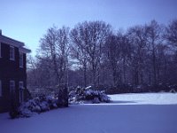 Baughurst - Herricks - Snow Back Garden